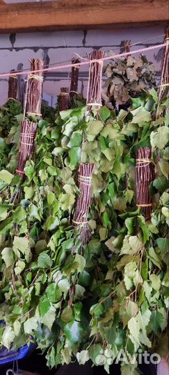 Берёзовый Веник