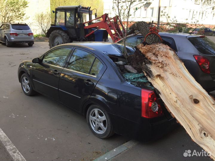 Независимая экспертиза