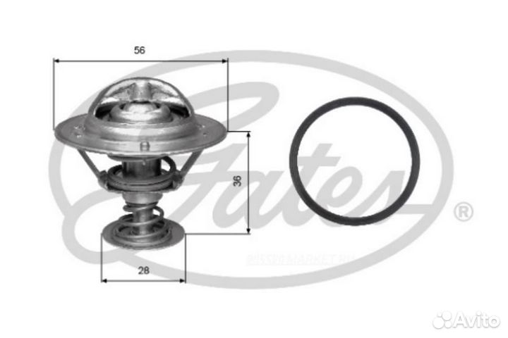Gates TH31482G1 Термостат