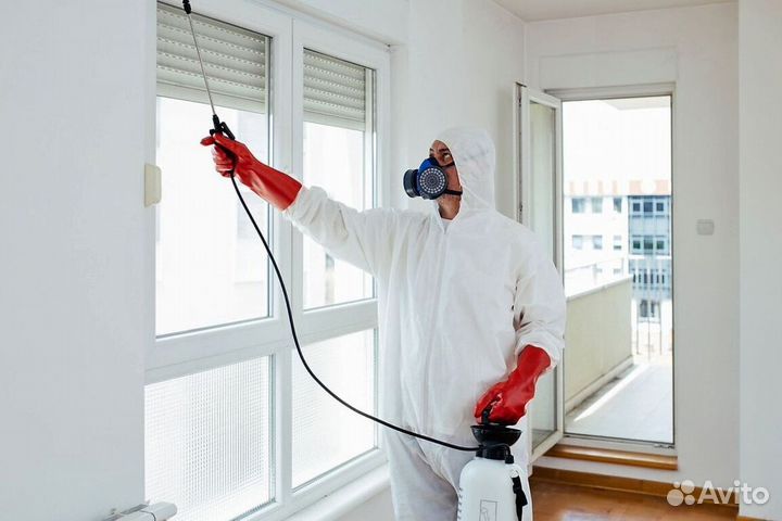 Средство для Уничтожения клопов травли тараканов, блох