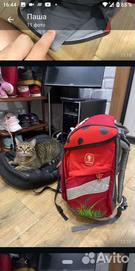 Рюкзак школьный Step by step