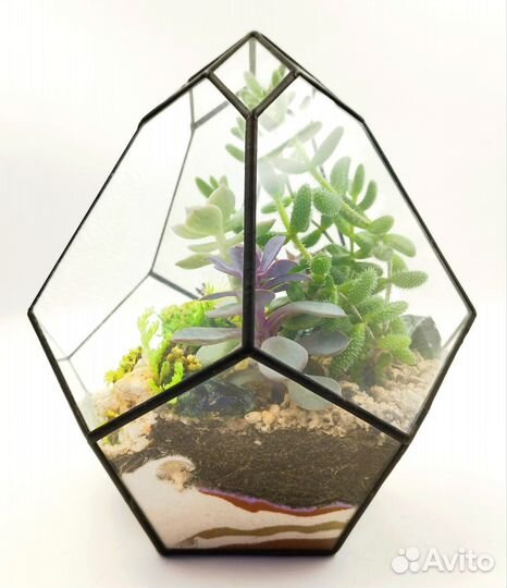 Флорариум 