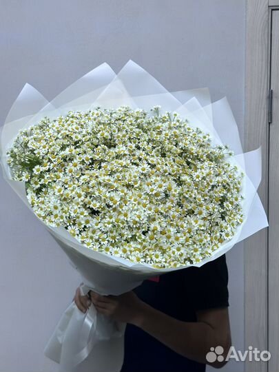 51 Ромашка с доставкой