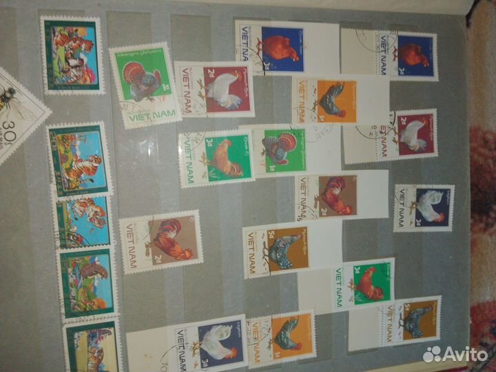 Почтовые марки СССР альбом