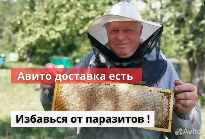 Мед с травами от паразитов в организме