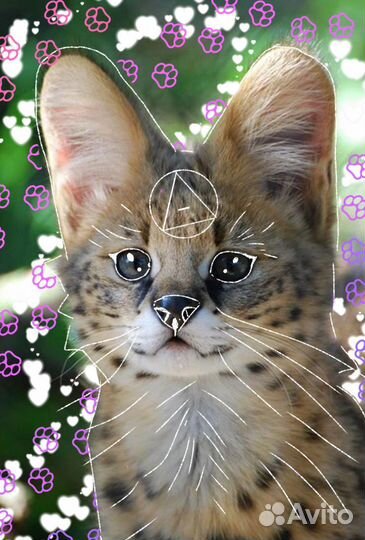 Обробатываю фотки квд на заказ