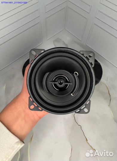 Новые автоколонки Pioneer TS-A1095 500W 10см