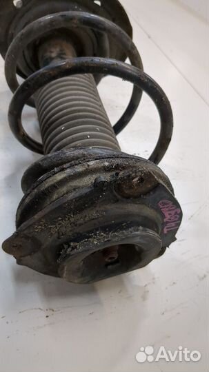 Амортизатор подвески Nissan Juke, 2012