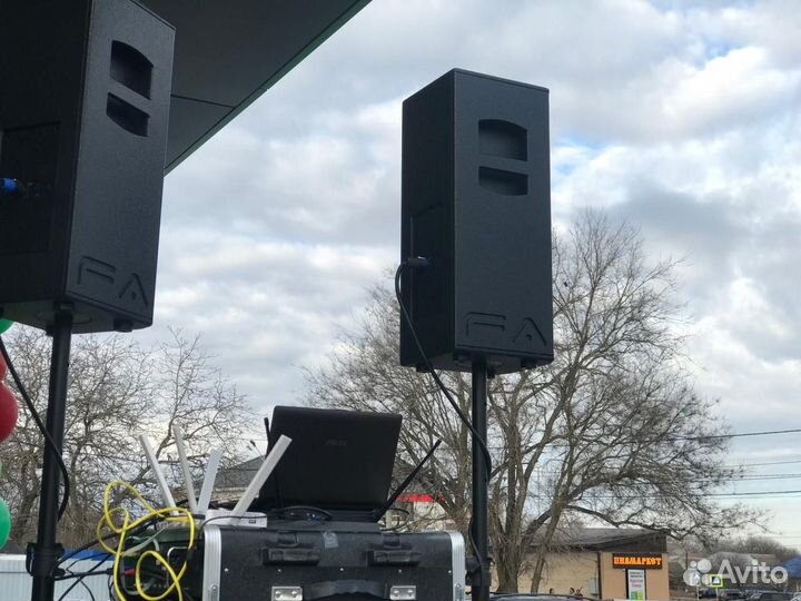 Колонки FeelAudio 208 Rms 500watt