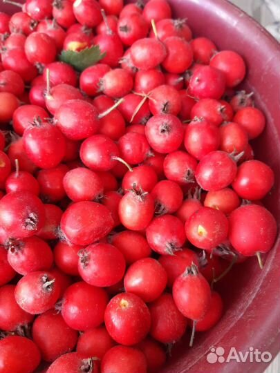 Фермерские продукты