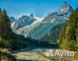 Сертификат проживание в Домбае