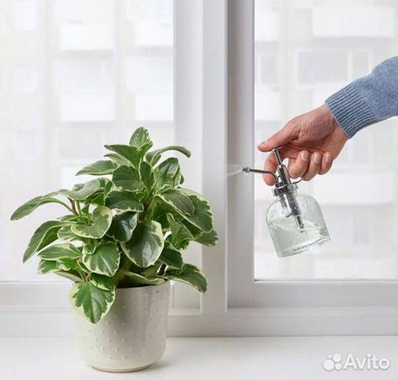 Опрыскиватель пульверизатор Икеа Сесамфрен