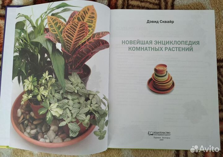 Энциклопедия комнатных растений