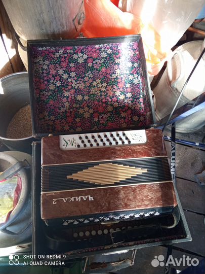 Гармонь шуйская чайка