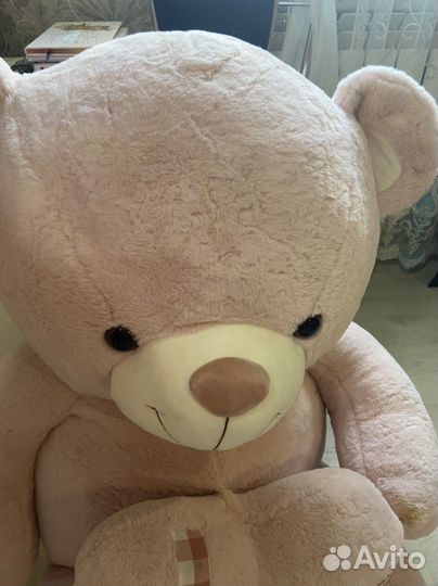 Плюшевый медведь