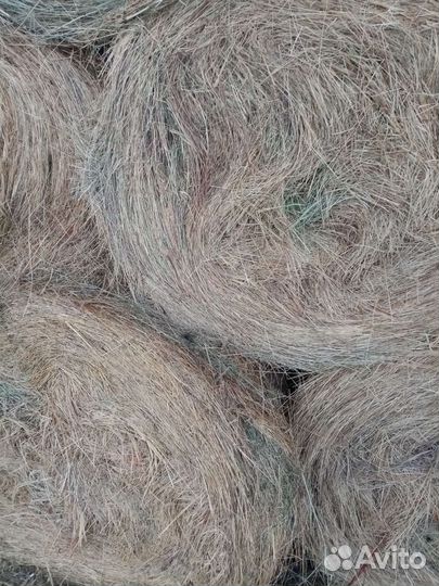 Продам сено в рулонах