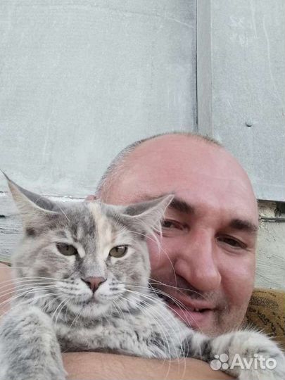 Мастер на час