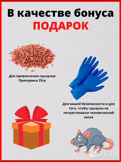 От крыс и мышей отрава