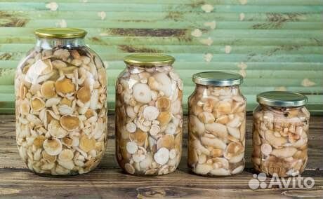 Грибы маринованные