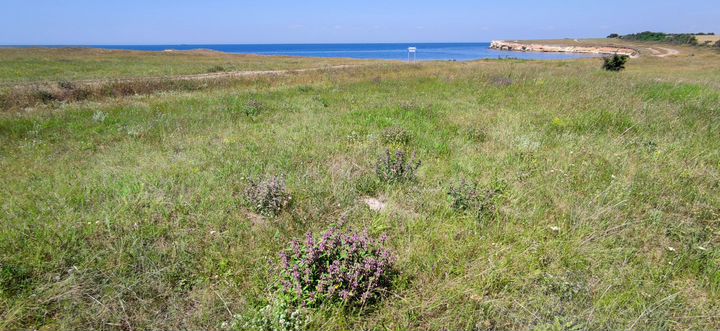 Участок 1,6 га (СНТ, ДНП)