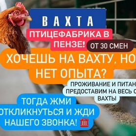 Вахта упаковщиком на птицефабрику с проживанием