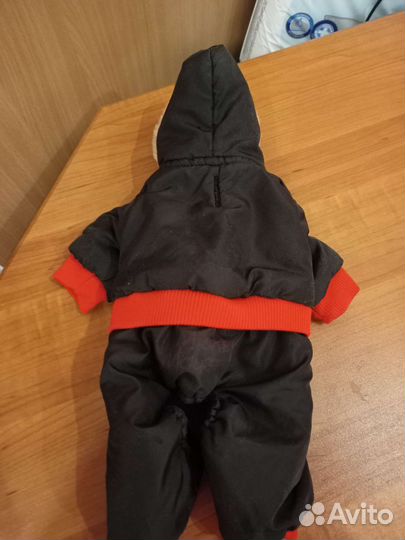 Одежда для собак мелких пород