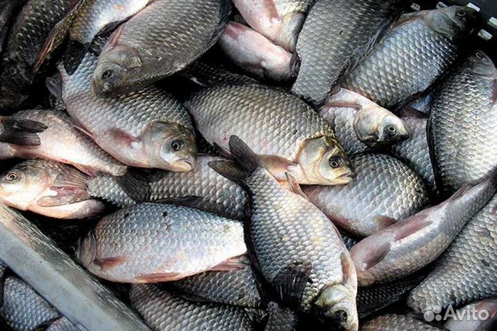 Продукты питания