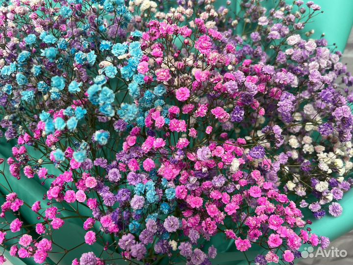 Букет из радужной гипсофилы