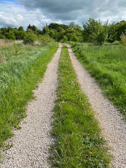 Участок 6 сот. (ИЖС)