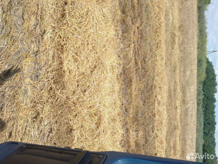 Солома ярового ячменя рулоны
