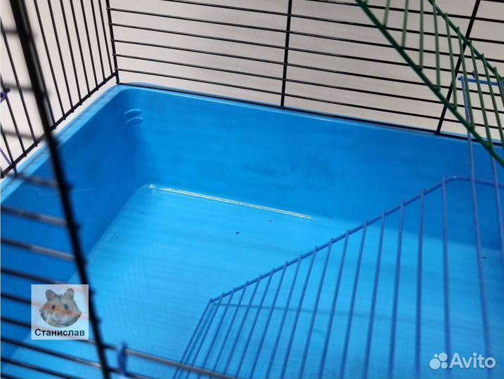 Клетка с для крыс, дегу. С набором. 4 этажа. 58 см
