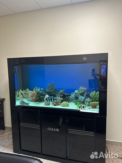 Аквариум cleair