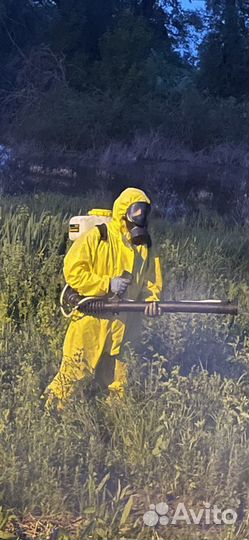 Уничтожение клещей, комаров, тараканов и клопов