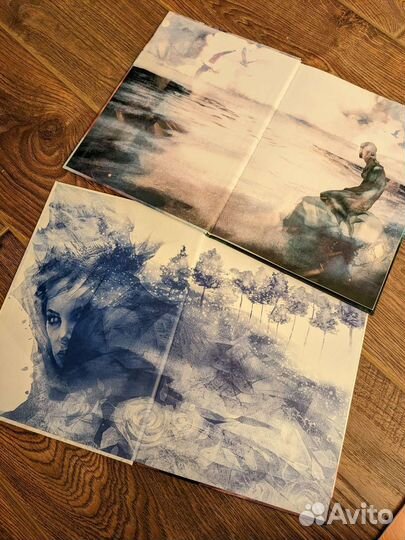 Дима Ребус. 