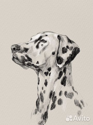 Портрет питомца животного на заказ по фото