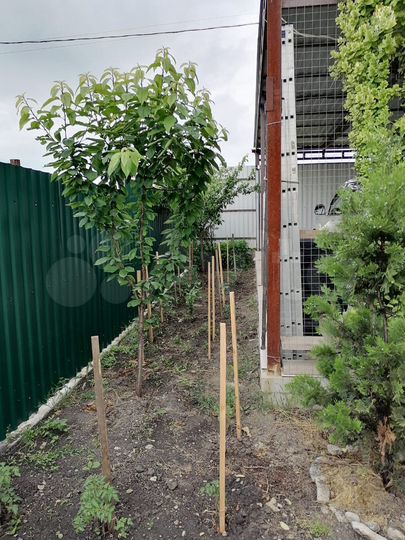 Дом 120 м² на участке 8 сот.