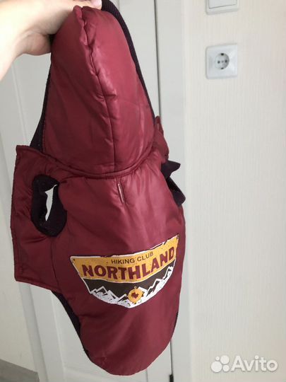 Одежда для собак