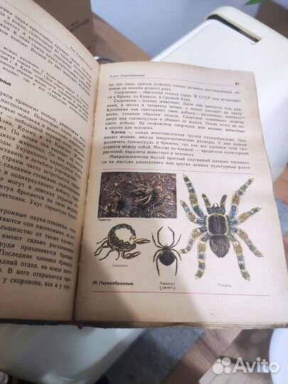 Учебники СССР