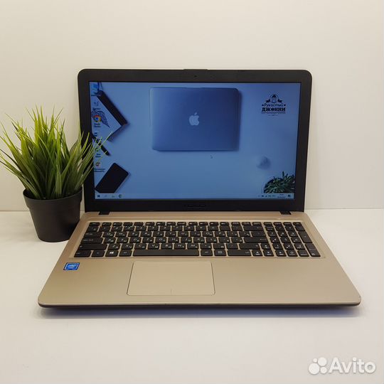 Ноутбук Asus Celeron/4Gb/HDD 500 Gb