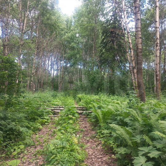 Участок 11 га (СНТ, ДНП)