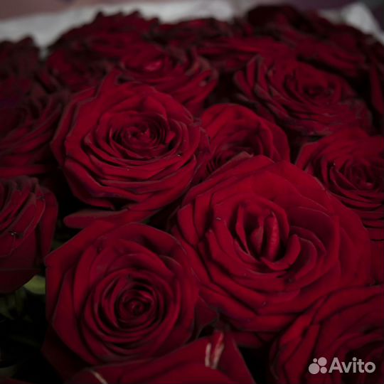 Букет 51 красная роза Цветы с Доставкой