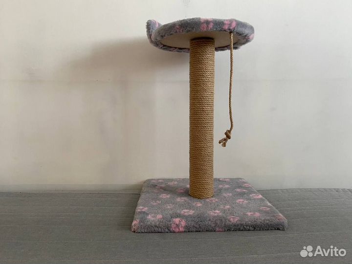 Когтеточка