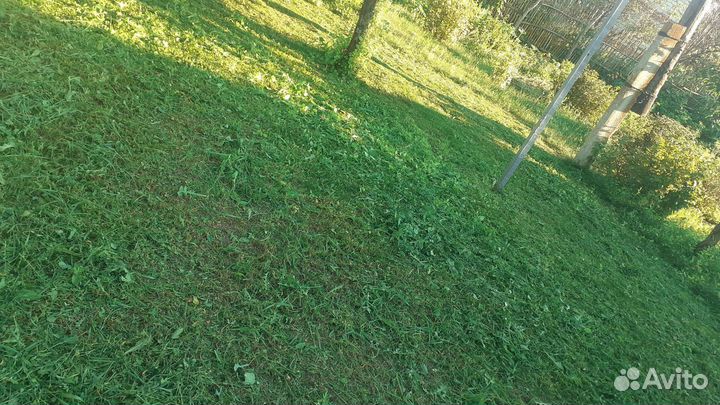 Покос травы триммером