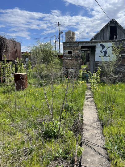 Участок 8 сот. (ИЖС)