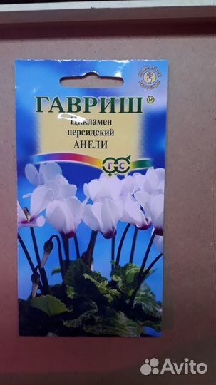 Семена цикламена, аспарагуса и хвойных