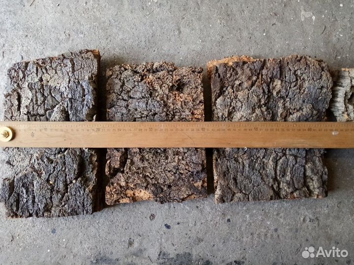 Кора пробкового дуба