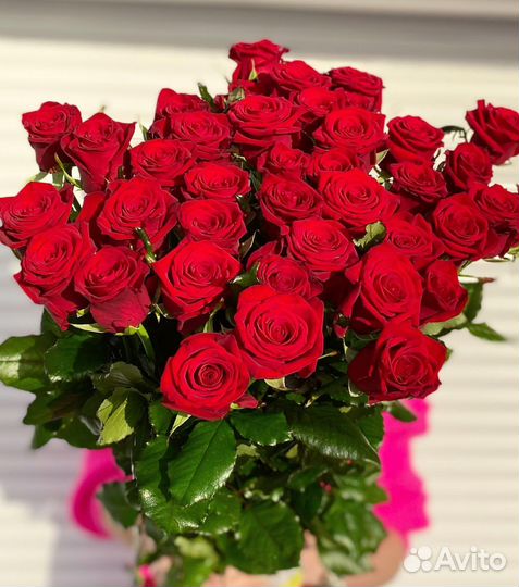 51 101 35 31 21 роза Букет Доставка