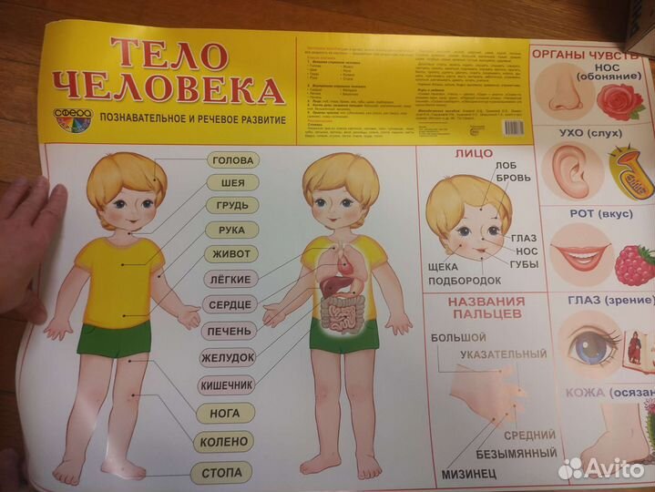 Учебные книги для детей