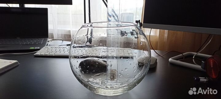 Аквариум шар 3л