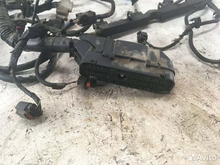 Проводка двигателя (коса) Ford Focus 2 хэтчбэк 1.6